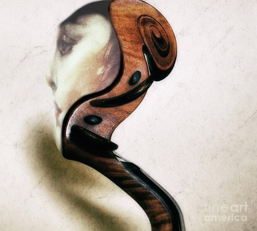 Music Photograph - Sound Thoughts by Steven Digman Music Photograph - Sound Thoughts by Steven Digman