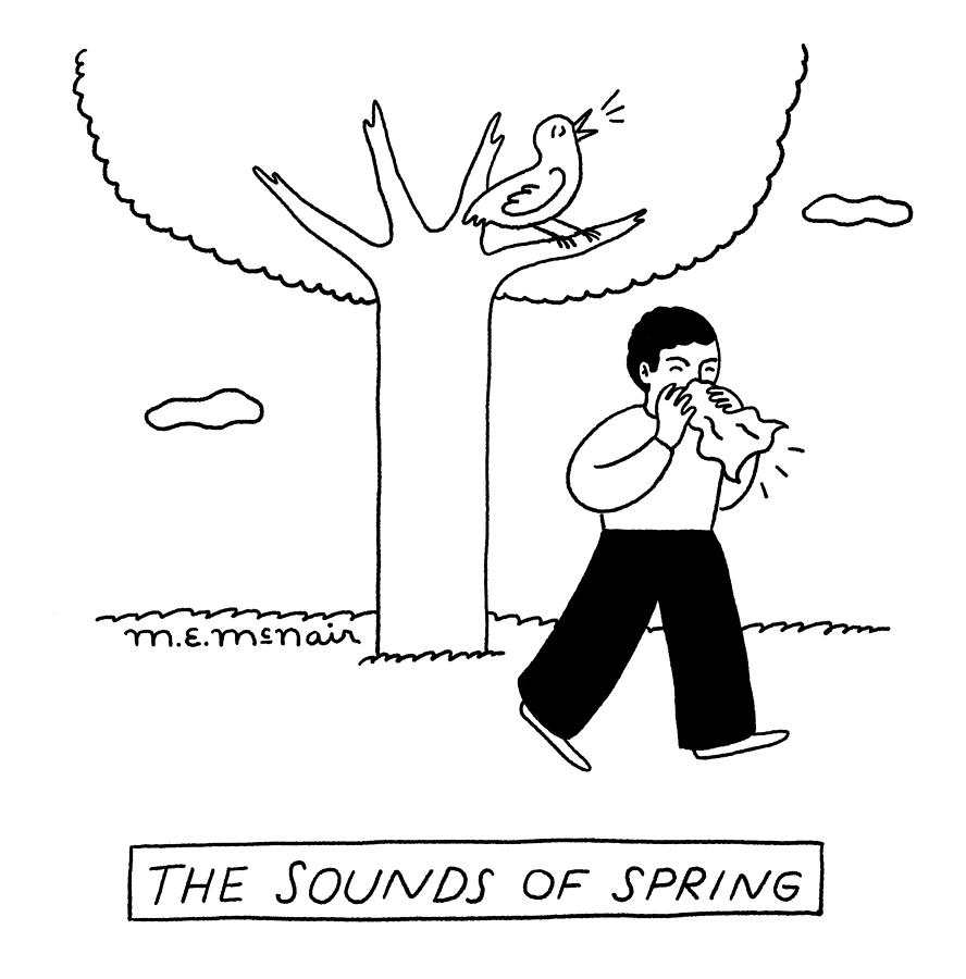 Sounds of Spring Drawing by Elisabeth McNair