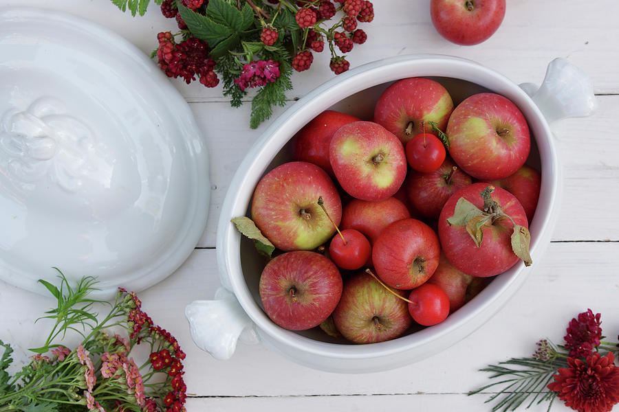 Soup Tureen Of Apples And Crab Apples, Yarrow, Unripe Blackberries And Chrysanthemum Flowers Photograph by Angelica Linnhoff