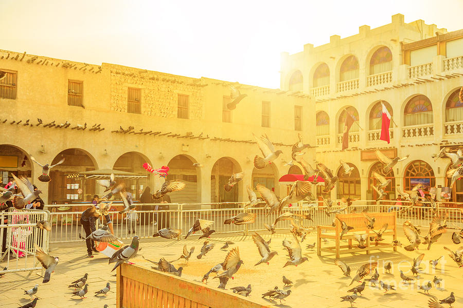 Souq Waqif Pigeons Photograph by Benny Marty