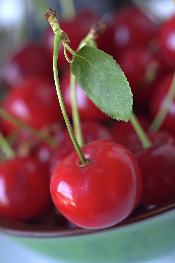 Sour Cherries In A Ceramic Bowl close-up Photograph by Dr. Martin Baumgrtner