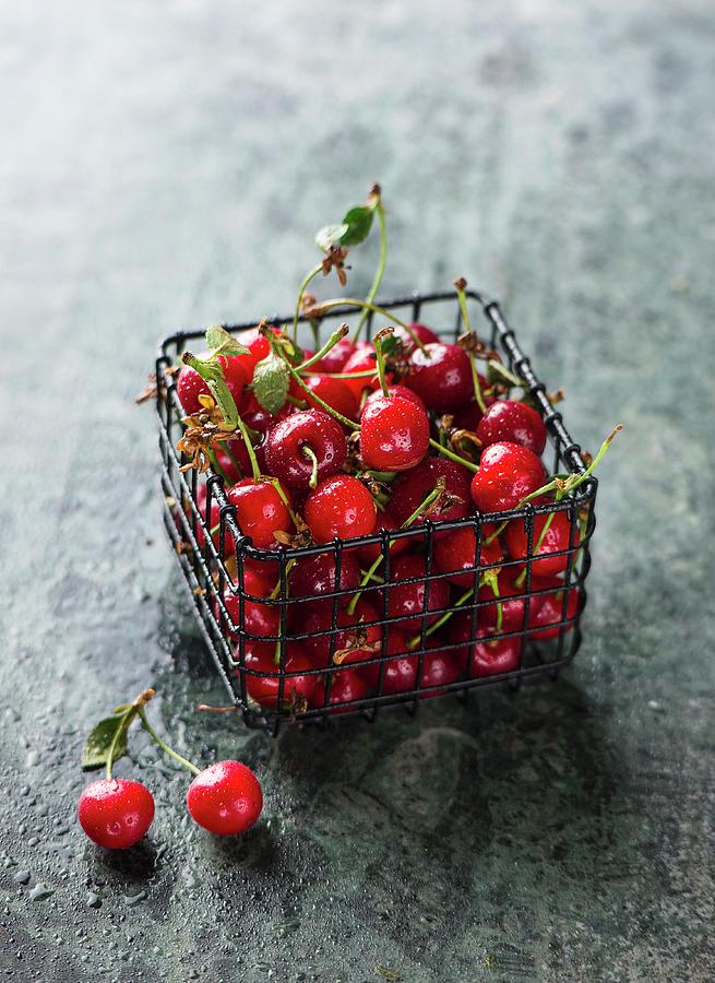 Sour Cherries In A Small Wire Basket Photograph by Ewgenija Schall