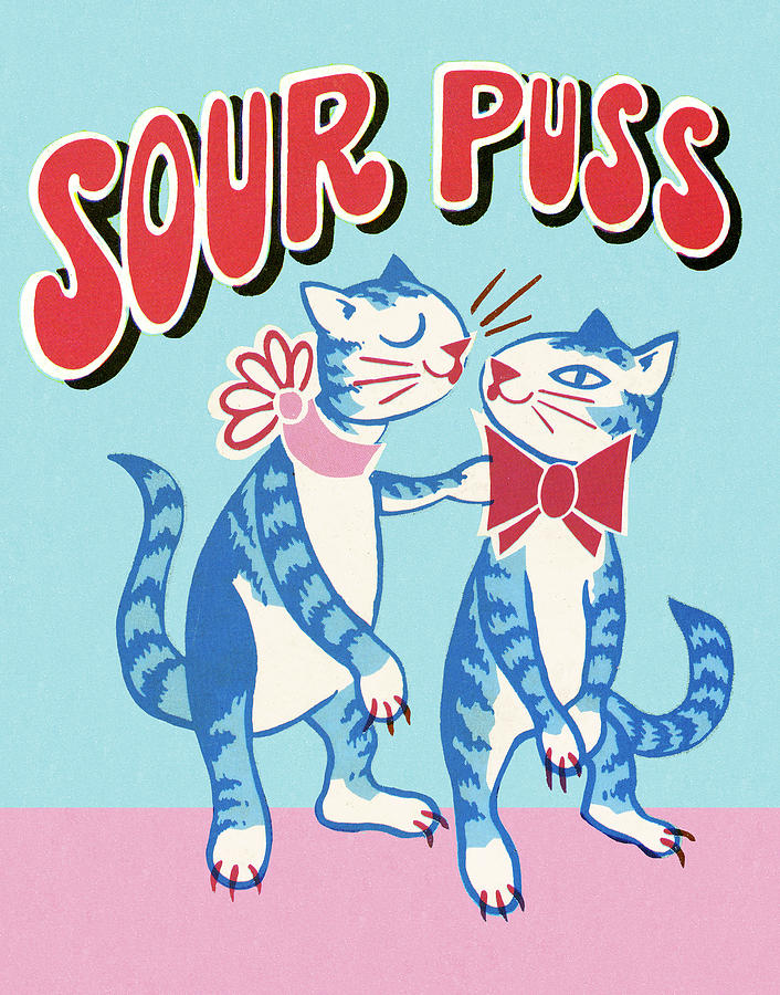 Typography Drawing - Sour Puss Cats by CSA Images