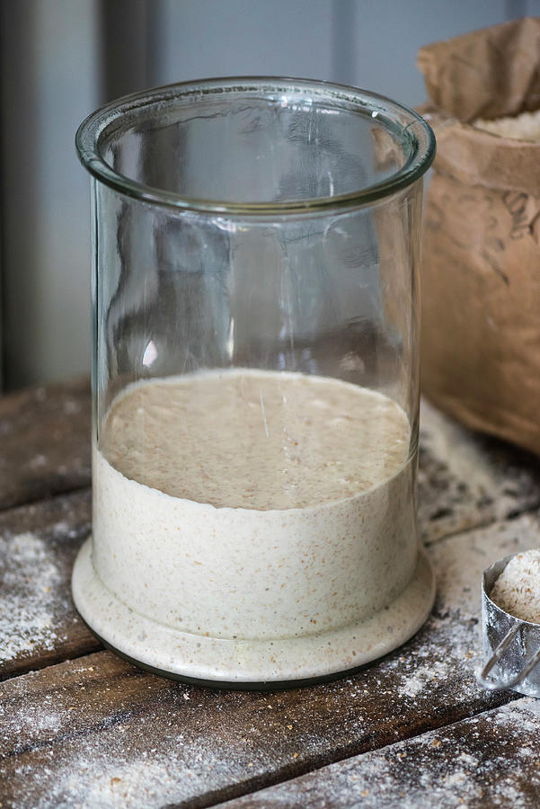 Sourdough Bread Mixture Set In A Glass Jar Photograph by Great Stock!