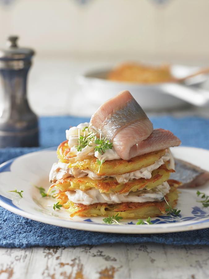 Soused Herring Fillets With Potato Cakes, Germany Photograph by Jan-peter Westermann