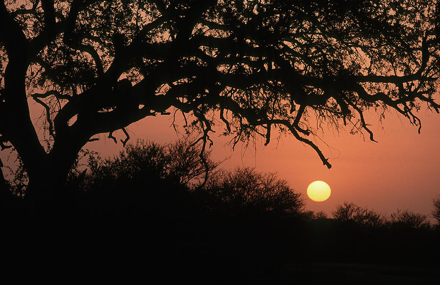 South Africa, Sunrise Photograph by Tropicalpixsingapore South Africa, Sunrise Photograph by Tropicalpixsingapore