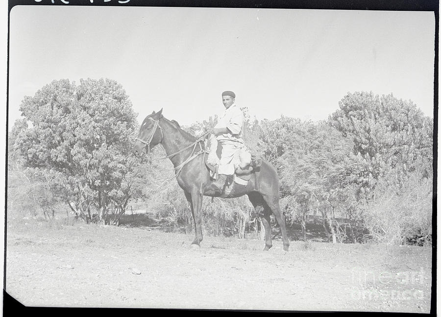 South American Gaucho On Horseback Photograph by Bettmann