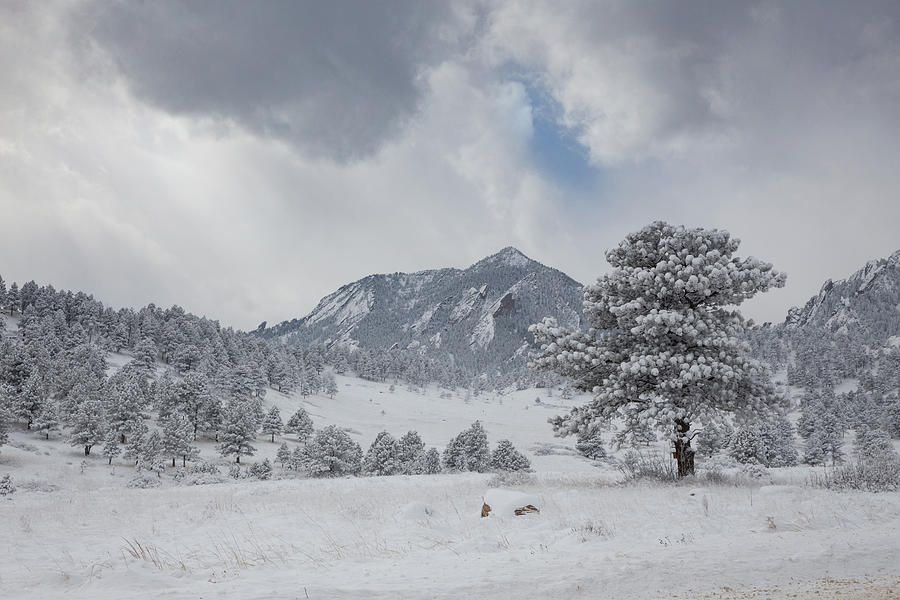 South Boulder Peak Covered In Freshly Fallen Snow Photograph