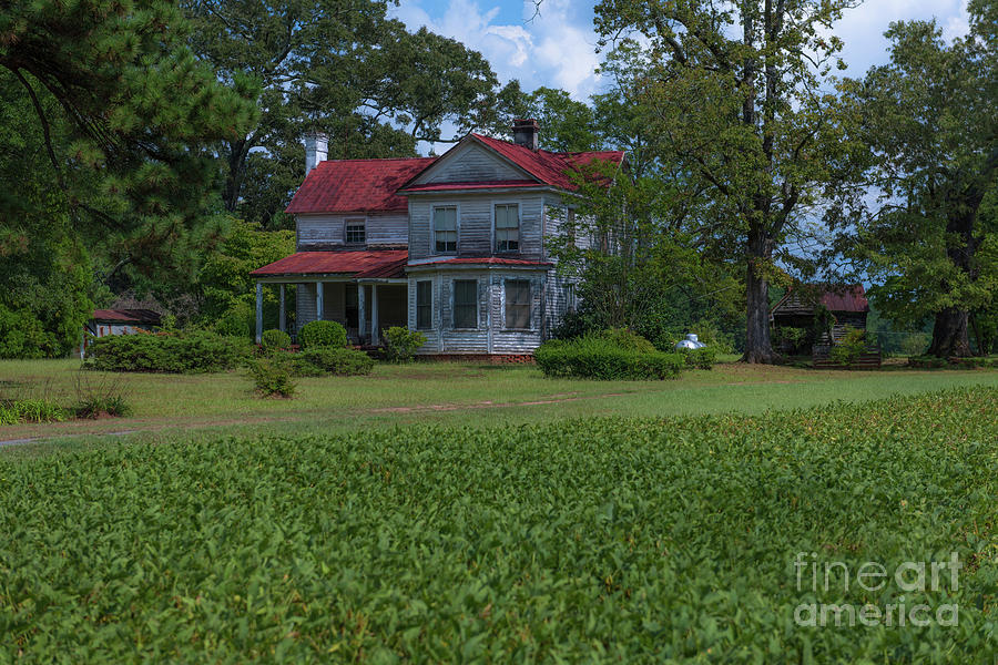 South Carolina Country Living  Photograph by Dale Powell
