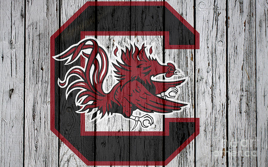 South Carolina Gamecocks Digital Art by Steven Parker - Fine Art America