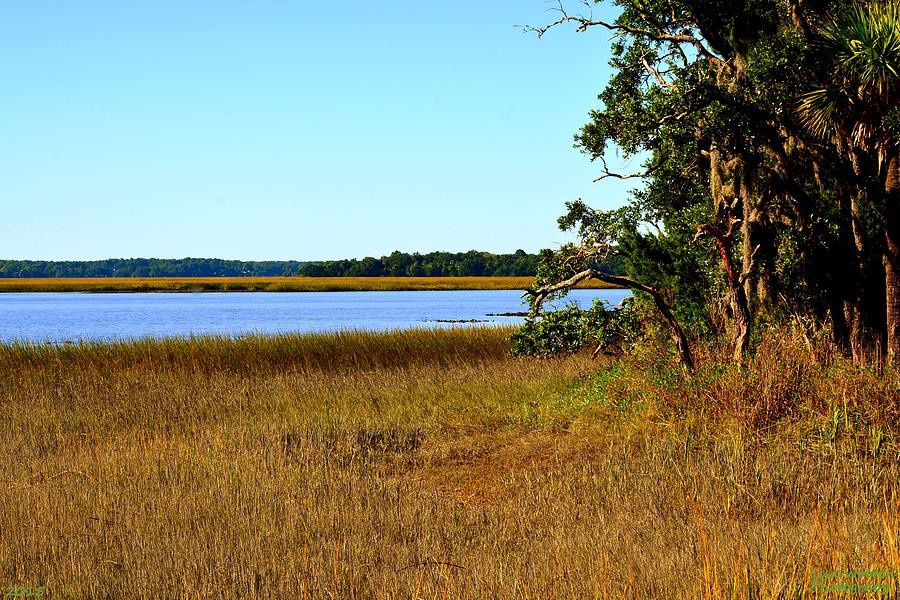 South Carolina Lowcountry Photograph by Lisa Wooten - Fine Art America