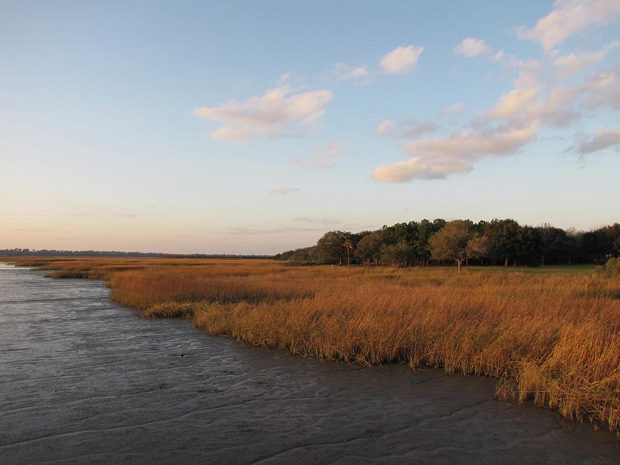 South Carolina Marsh In The Afternoon Photograph by Daniela Duncan