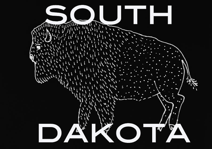 South Dakota Mixed Media by Aaron Geraud