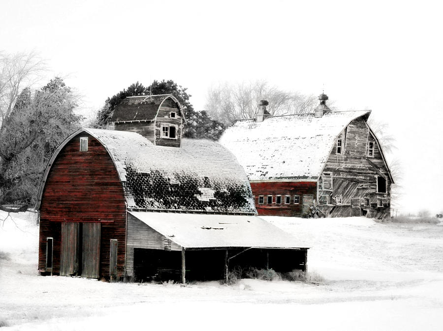 South Dakota Farm Photograph