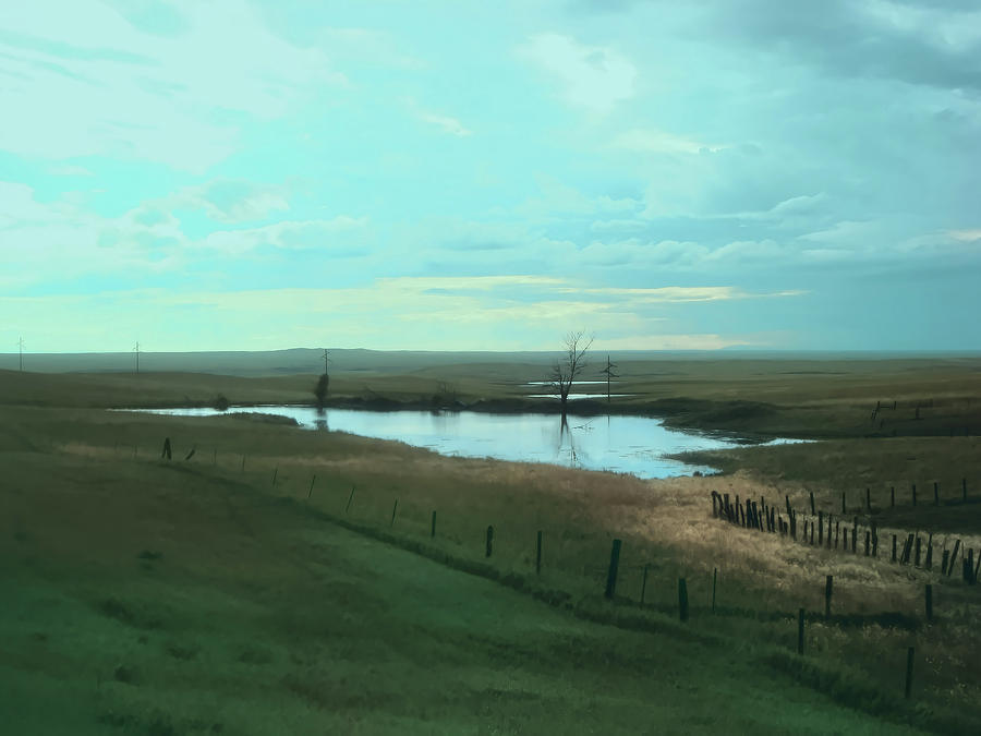 South Dakota Prairie  Photograph by Cathy Anderson