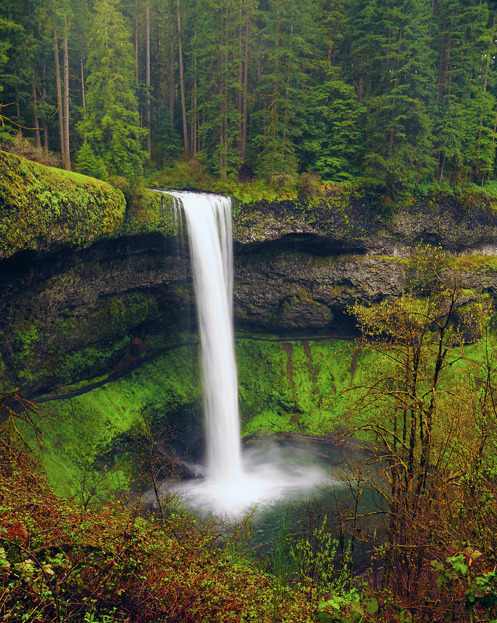 South Falls In Spring, Silver Falls by Danita Delimont