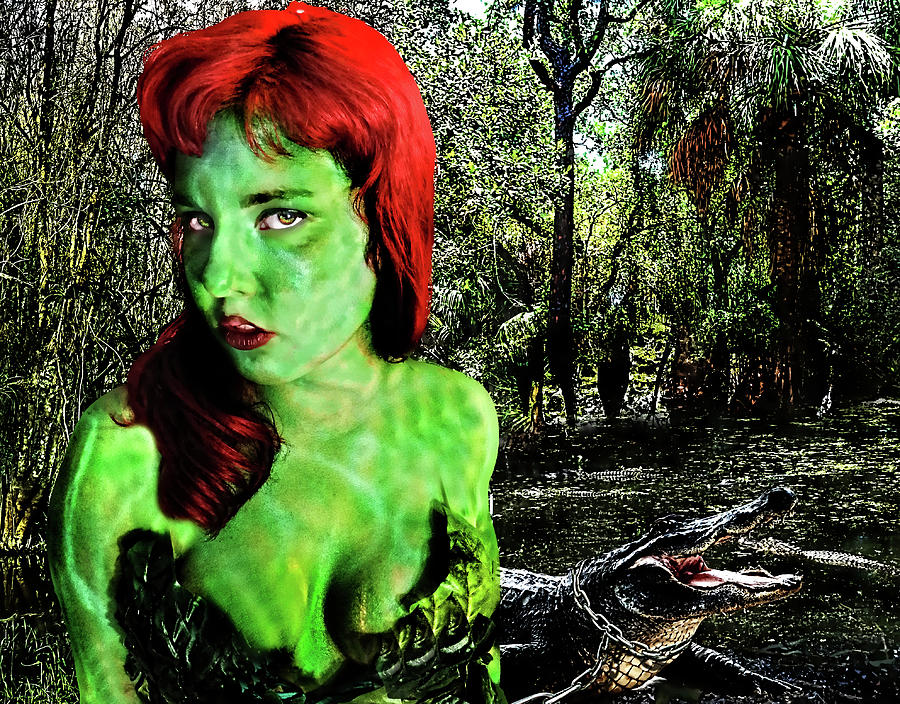 South Florida Swamp Photograph