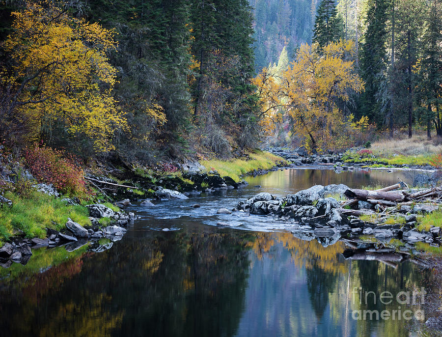 South Fork Autumn Photograph by Idaho Scenic Images Linda Lantzy