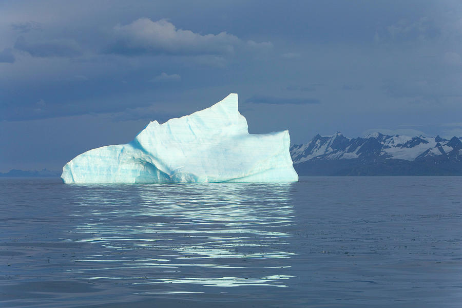 South Georgia, Iceberg And Coastal Photograph by Eastcott Momatiuk