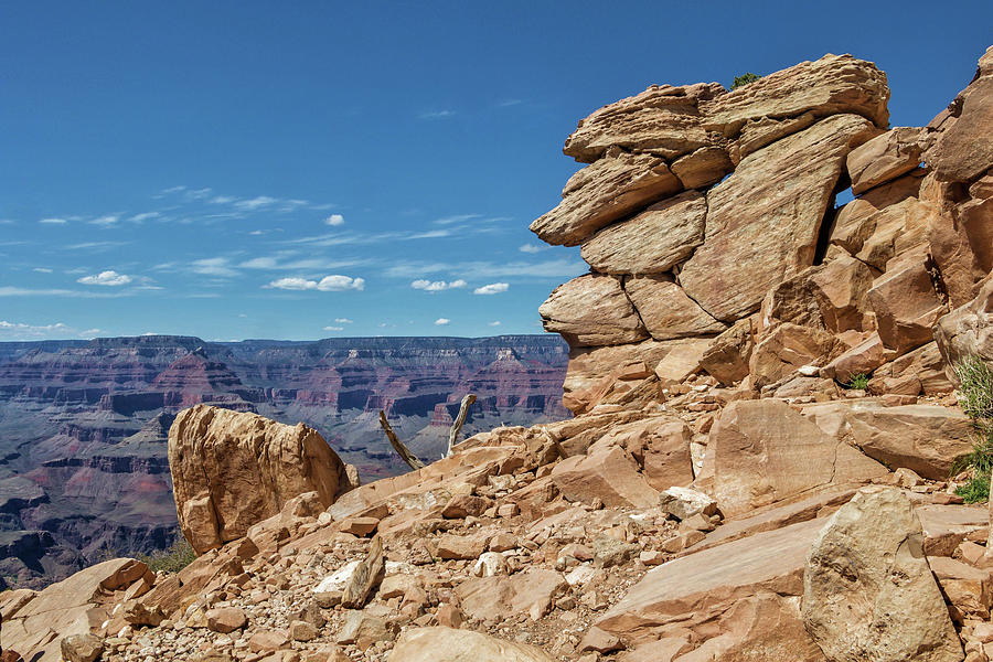 South Kaibab Trail 33 by Marisa Geraghty Photography South Kaibab Trail 33 by Marisa Geraghty Photography