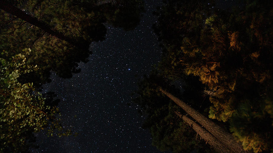 South Lake Tahoe Stars  Photograph by Anthony Giammarino