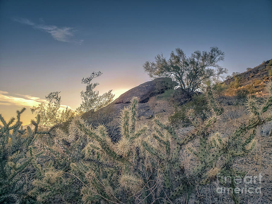 South Mountain Park Photograph by Darrell Foster