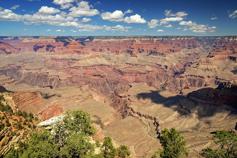 South Rim Grand Canyon National Park 30 Photograph