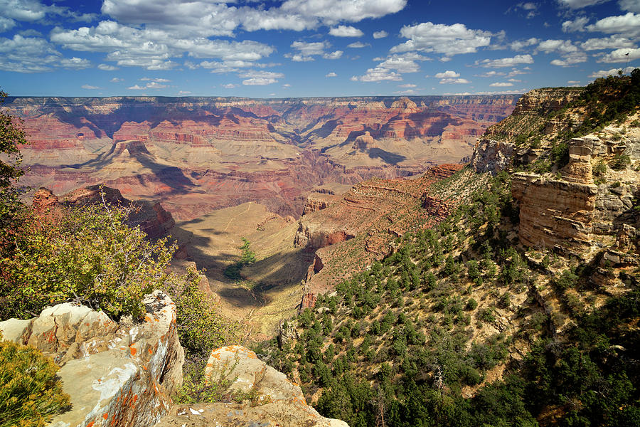 Grand Canyon National Park Photograph - South Rim Grand Canyon National Park 32 by Ricky Barnard