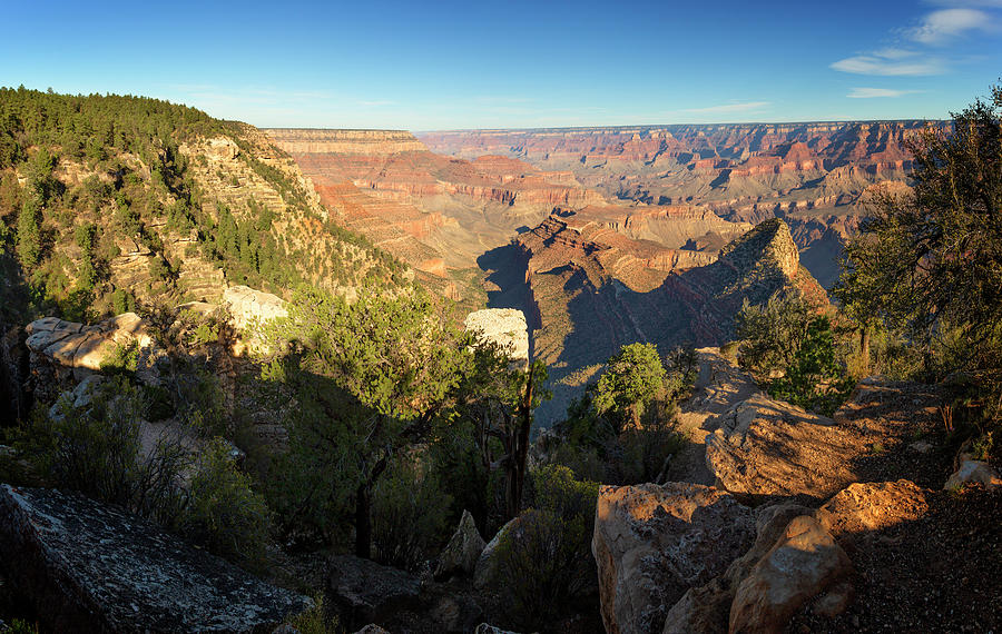 Nature Photograph - South Rim Grand Canyon National Park XVII by Ricky Barnard