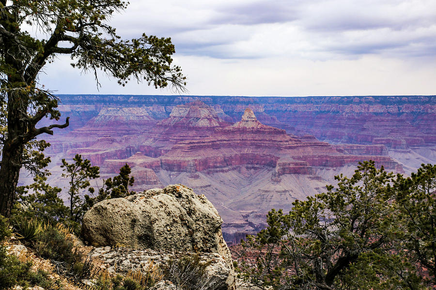 South Rim of the Grand Canyon Photograph by Laura Smith