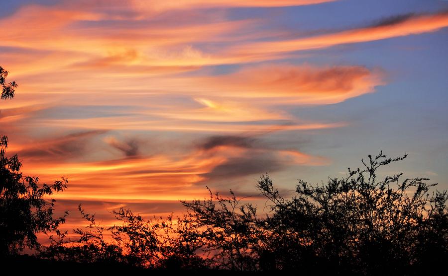 South Texas Sunset Photograph by John Glass