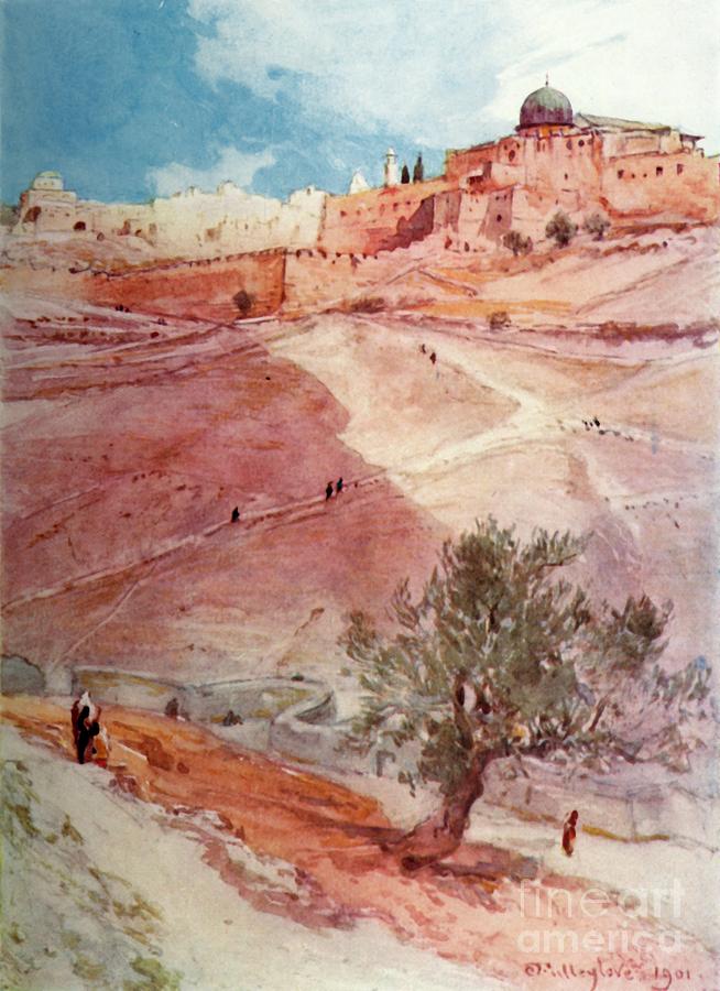 Nature Drawing - South Wall Of Jerusalem From The North by Print Collector