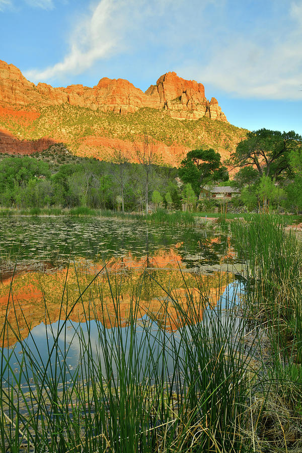 South Watchman Pond Reflection in Zion NP Photograph by Ray Mathis