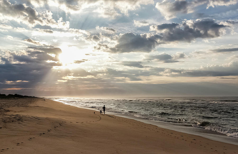 Southampton Beach Run at Sunrise Photograph by Kathleen McGinley