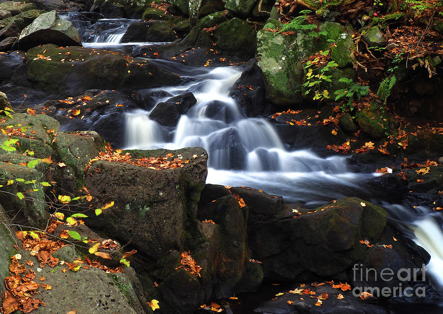 Nature Photograph - Southbury Falls by Raymond Earley