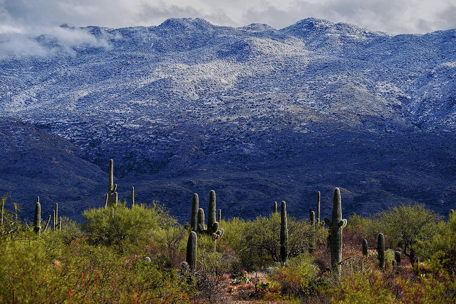 Southern Arizona Snow Photograph by Chance Kafka