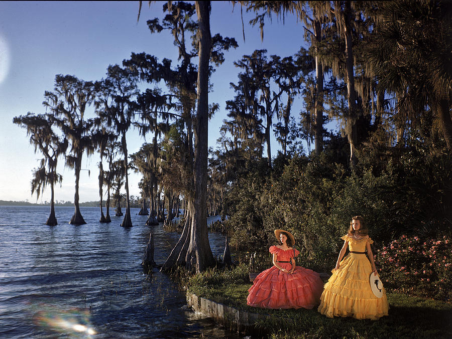 Southern Belles In Cypress Gardens Photograph by Eliot Elisofon Southern Belles In Cypress Gardens Photograph by Eliot Elisofon
