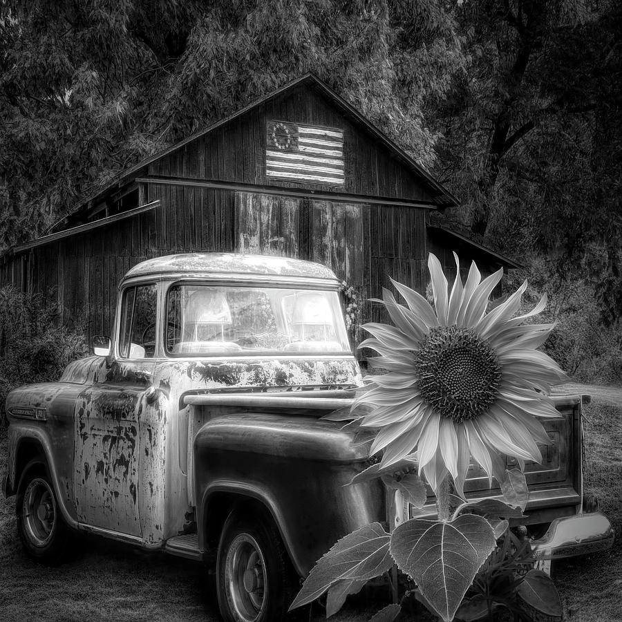 Southern  in Black and White Photograph by Debra and Dave Vanderlaan