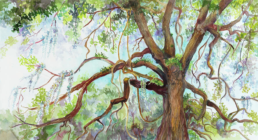 Nature Painting - Southern Live Oak Tree by Joanne Porter