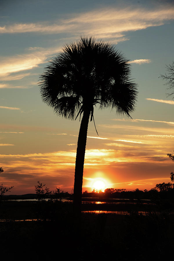 Southern Marsh Sunset Photograph by Dennis Schmidt