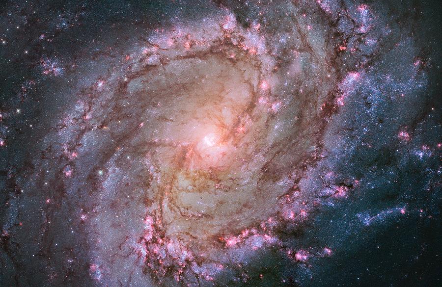 Southern Pinwheel - Spiral Galaxy M83 Photograph by Billy Beck