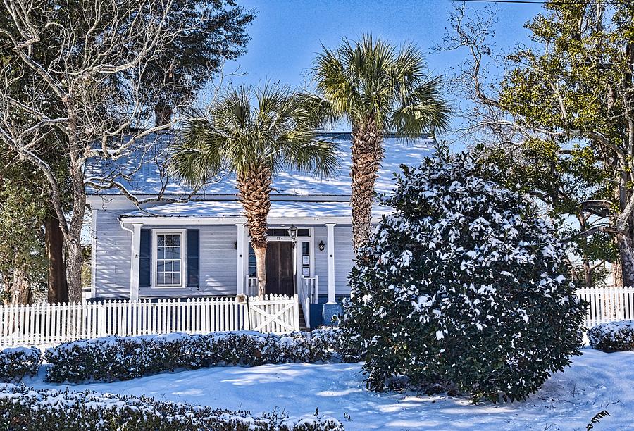 Southern Snow Photograph by Linda Brown