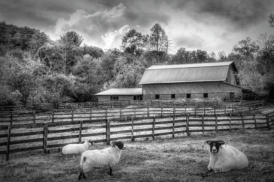SouthernComfort in Black and White Photograph by Debra and Dave Vanderlaan