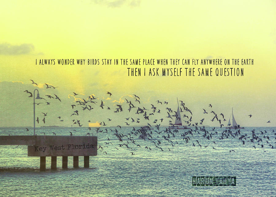 SOUTHERNMOST WONDER quote Photograph by Jamart Photography