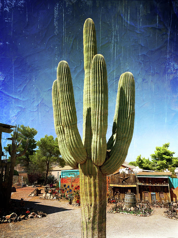 Southwest Cactus Pop Art 2 Photograph By Marilyn Hunt Pixels