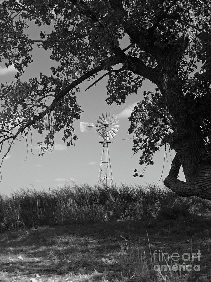 Southwest Mallet Windmill - Black and White Photograph by Nieves Nitta