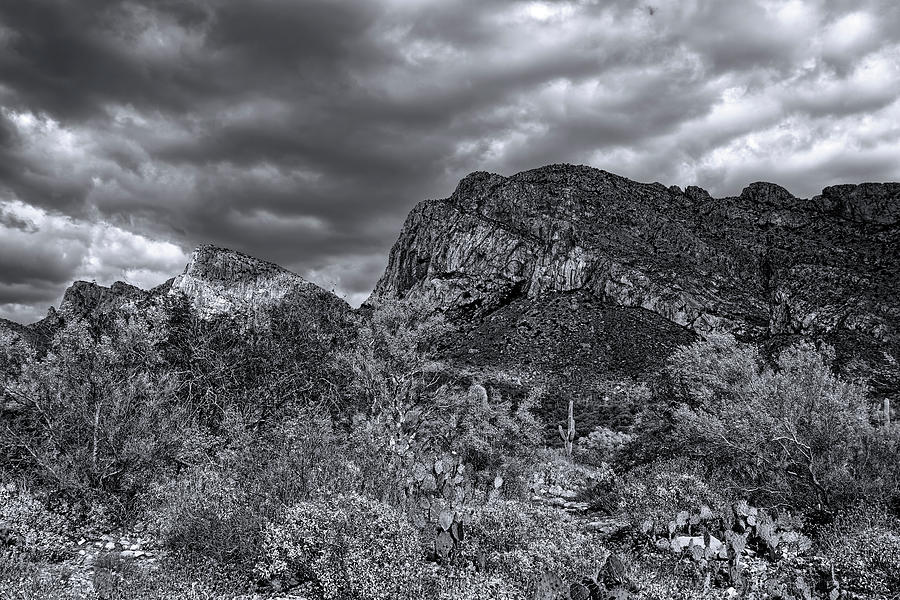 Southwest Spring m1939 Photograph by Mark Myhaver