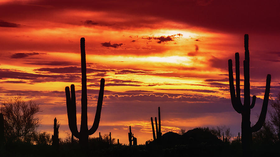 Sunset Photograph - Southwest Sunset Beauty  by Saija Lehtonen