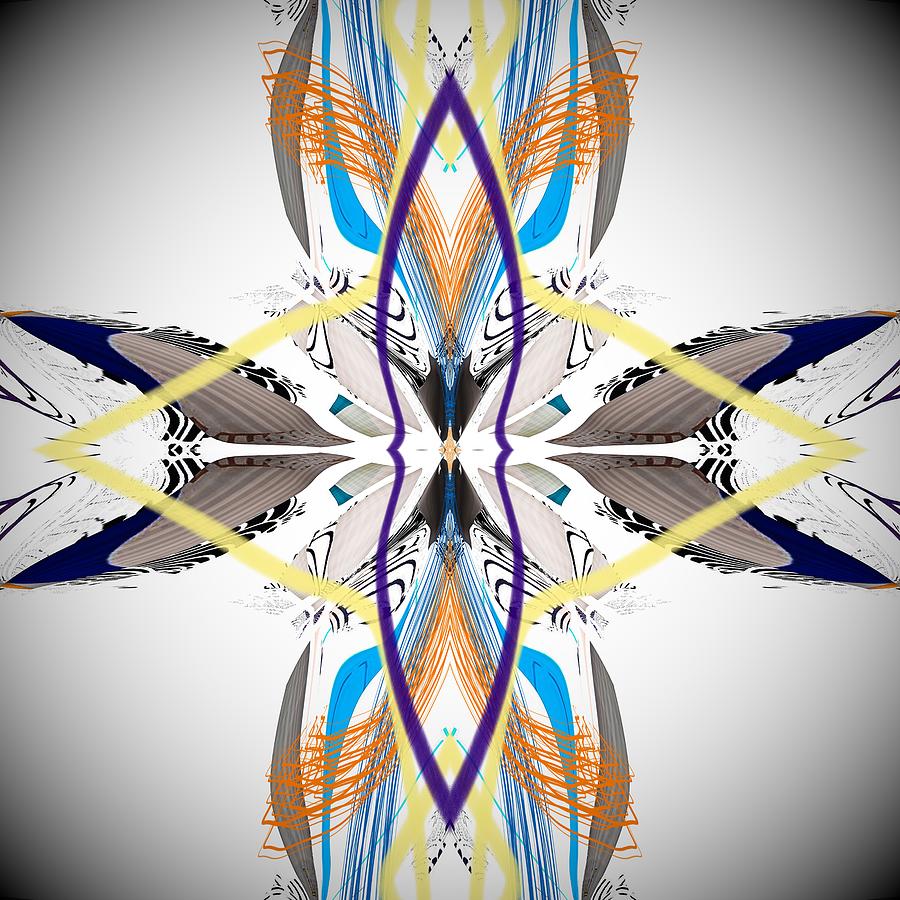 Southwestern Feather Abstract Digital Art