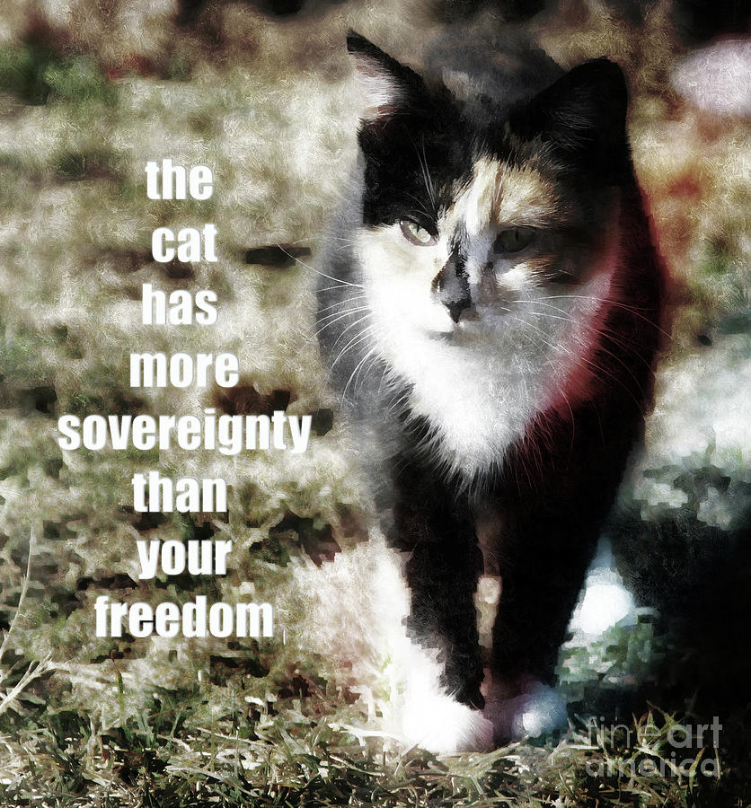 Sovereignty Photograph - Sovereignty by Steven Digman Sovereignty Photograph - Sovereignty by Steven Digman